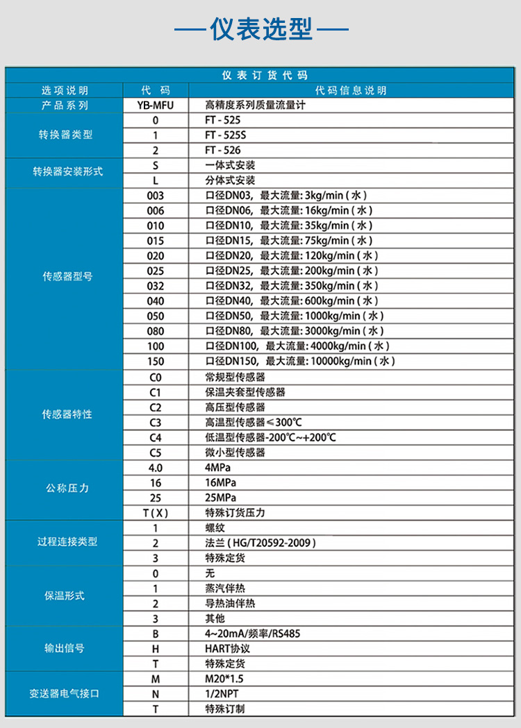 液氨質(zhì)量流量計(jì)選項(xiàng)表